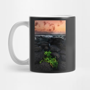 Between a Rock and Another Rock Mug